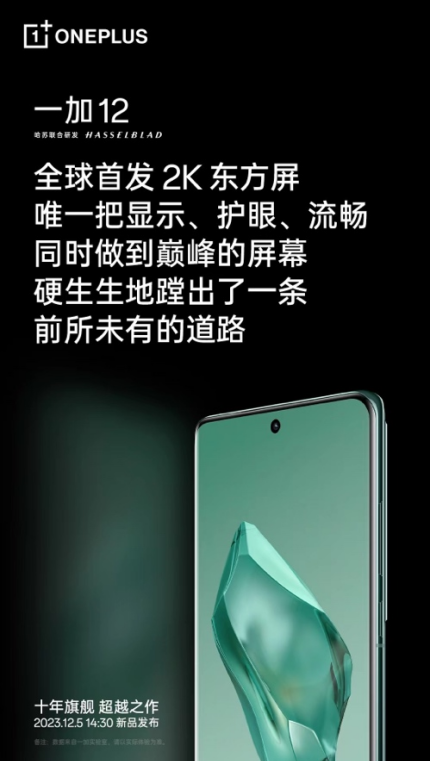 屏幕的珠穆朗玛峰，一加 12 搭载国产首个 DisplayMate A+ 2K 东方屏